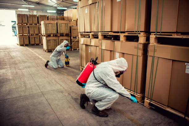Best Affordable Pest Control Services  in Cedar City, UT