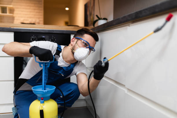 Best Local Pest Control Services  in Cedar City, UT