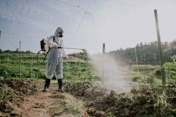 Best Pest Prevention Services  in Cedar City, UT