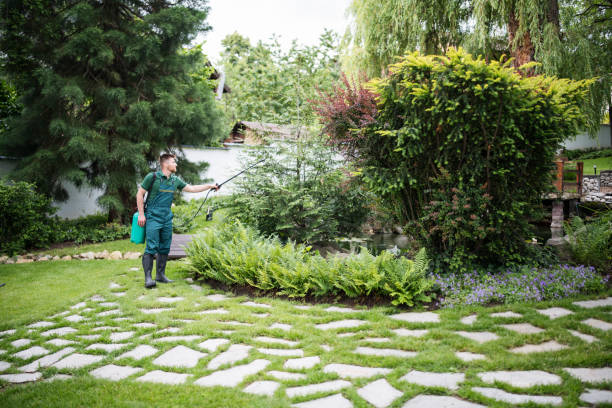 Best Pest Control Cost  in Cedar City, UT