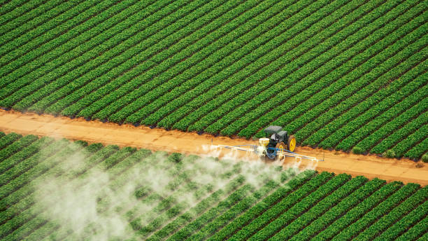 Best Mosquito Control Services  in Cedar City, UT